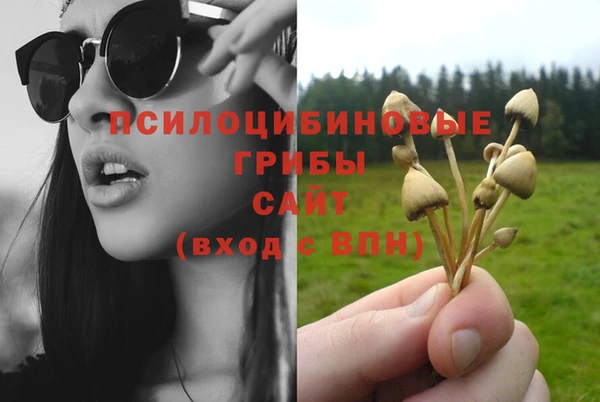 дживик Абинск