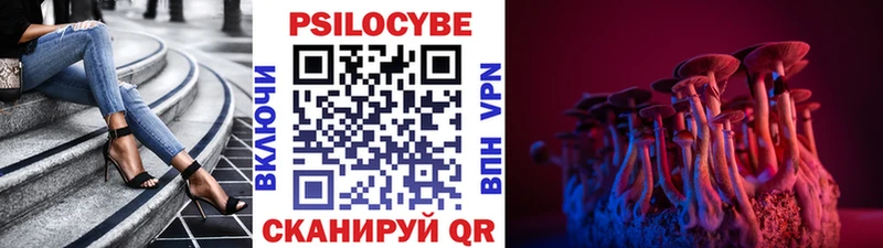 кракен ТОР  Касли  Галлюциногенные грибы мицелий 
